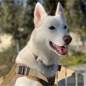 Meet your Posher, Jonathon